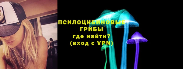 мдма Инта