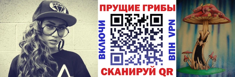 Галлюциногенные грибы мицелий нарко площадка какой сайт Камбарка